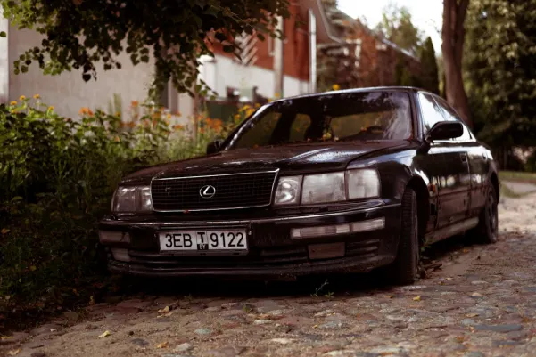 WinFest Casino Aplicación Android/iOS